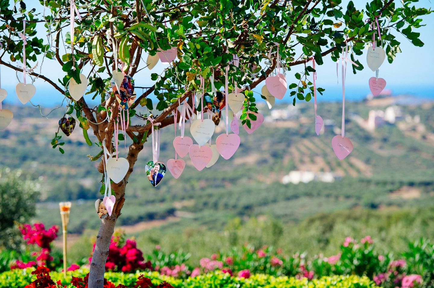 lorem ipsum dolor sit